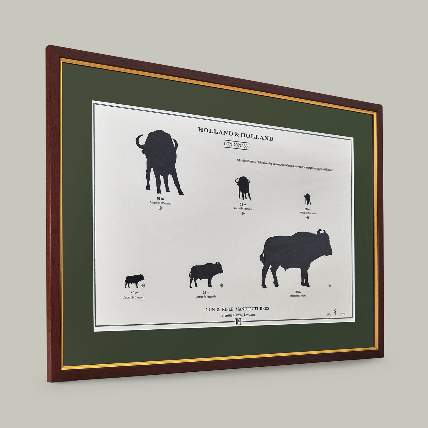 Big Five Distance Print - Framed [BUFFALO]