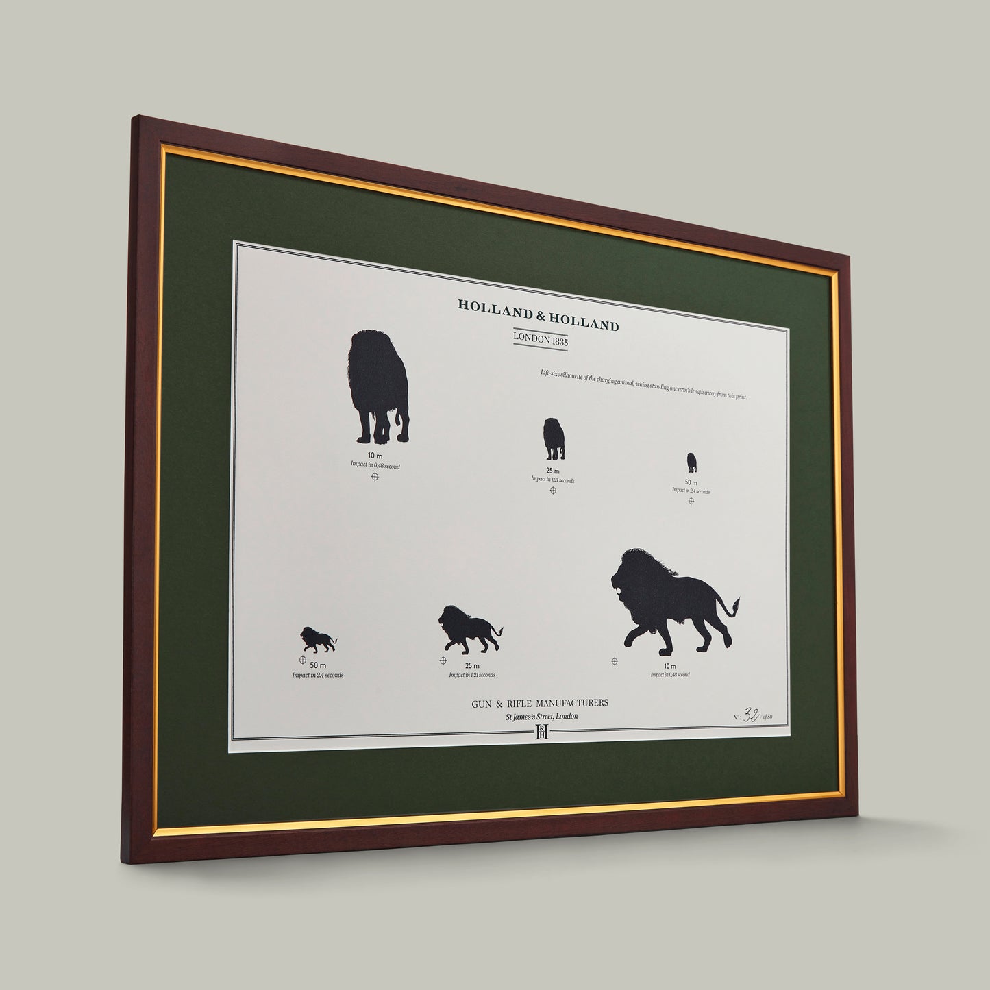 Big Five Distance Print - Framed [LION]