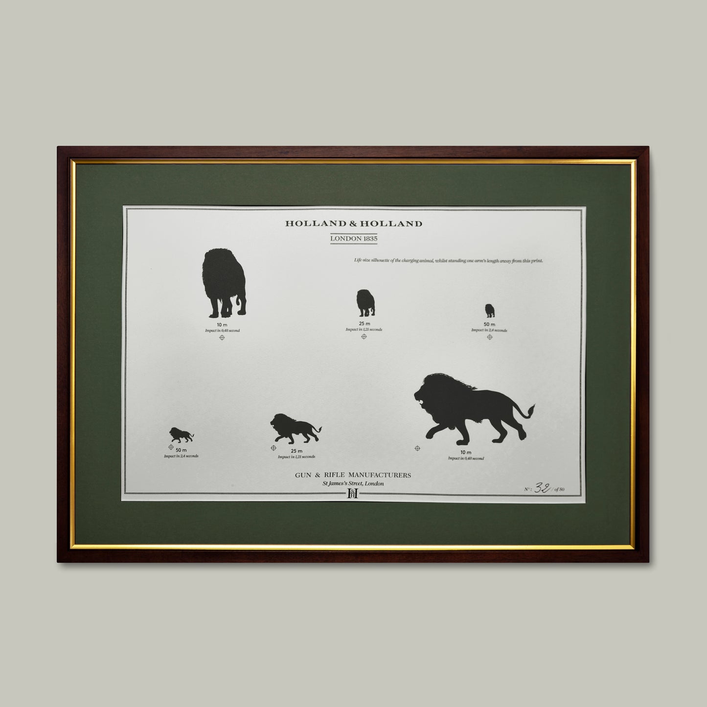 Big Five Distance Print - Framed [LION]