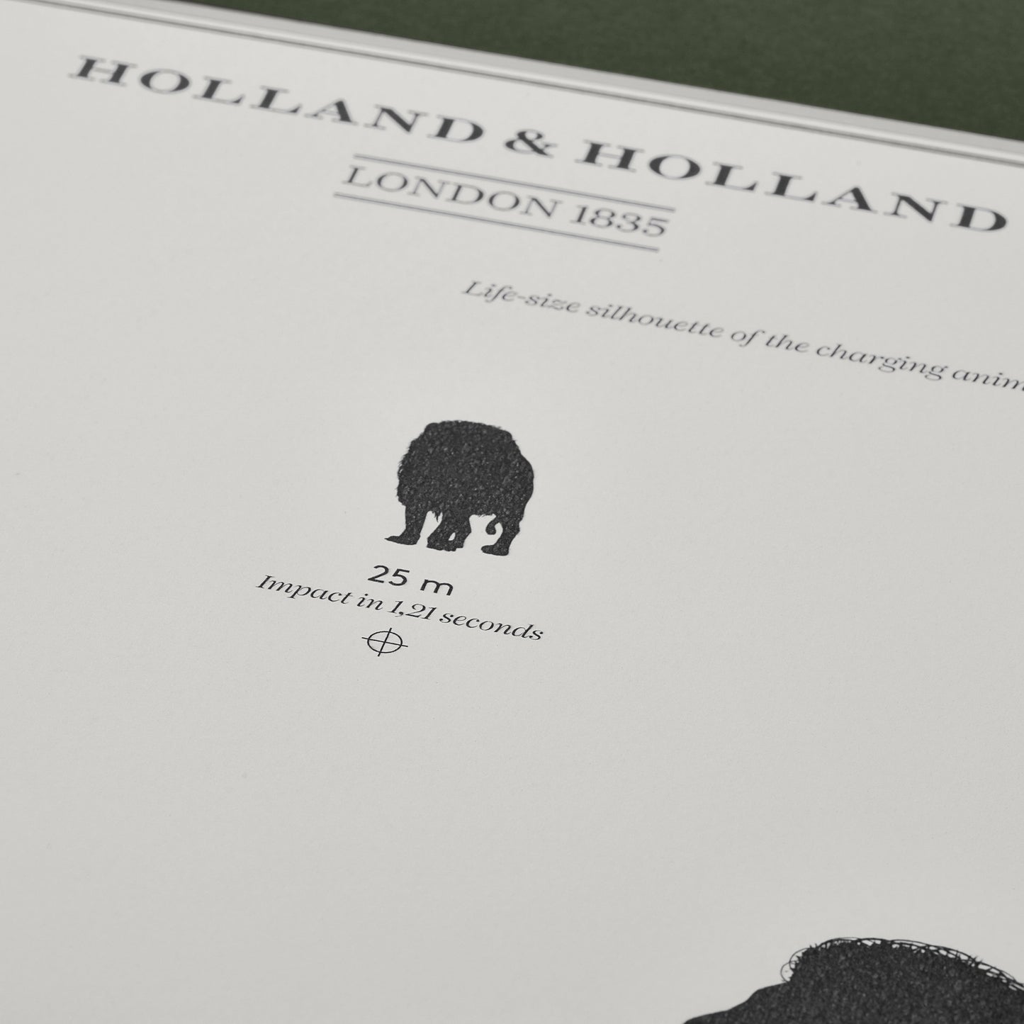 Big Five Distance Print - Mounted [LION]