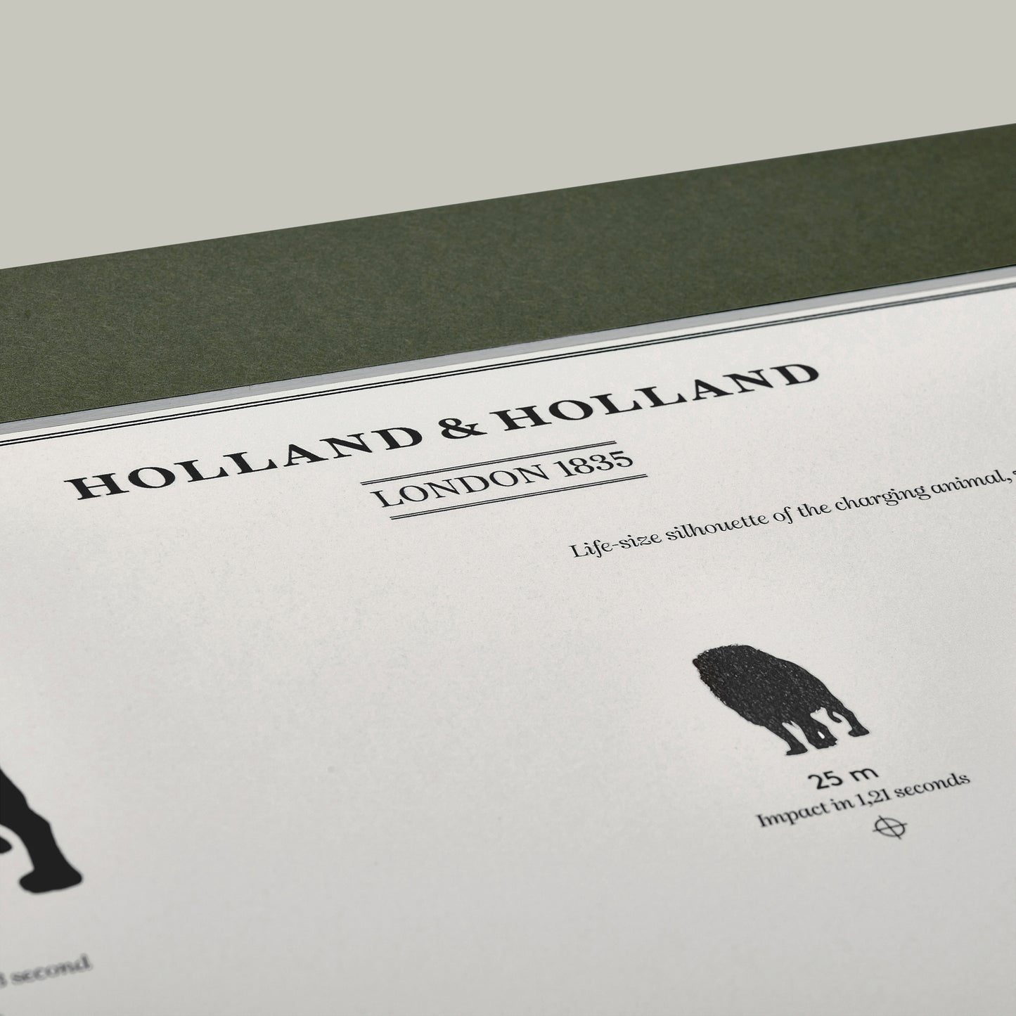 Big Five Distance Print - Mounted [LION]