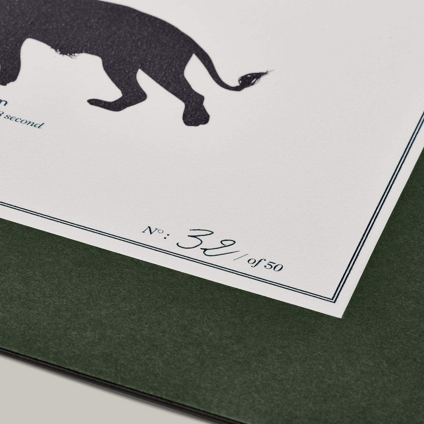 Big Five Distance Print - Mounted [LION]