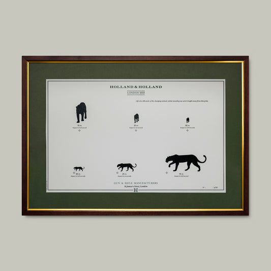 Big Five Distance Print - Framed [LEOPARD]