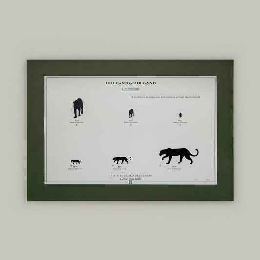 Big Five Distance Print - Mounted [LEOPARD]
