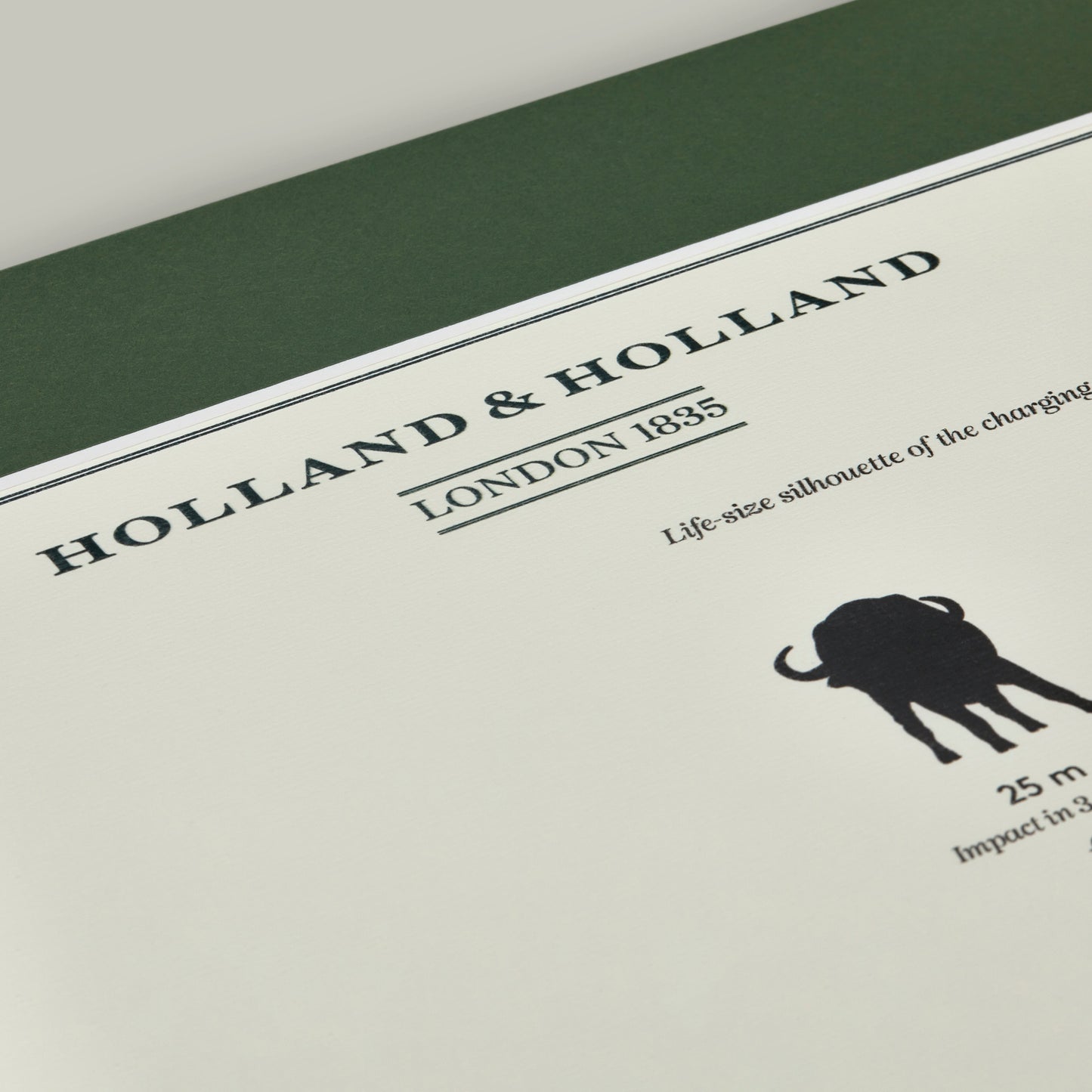 Big Five Distance Print - Mounted [BUFFALO]