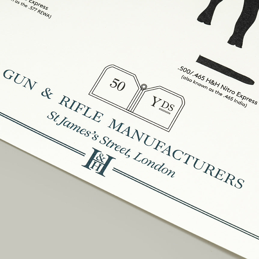 Big Five combination distance print - Mounted