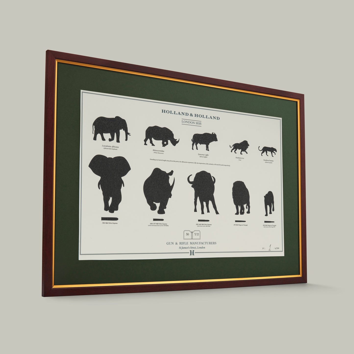Big Five combination distance print - Framed