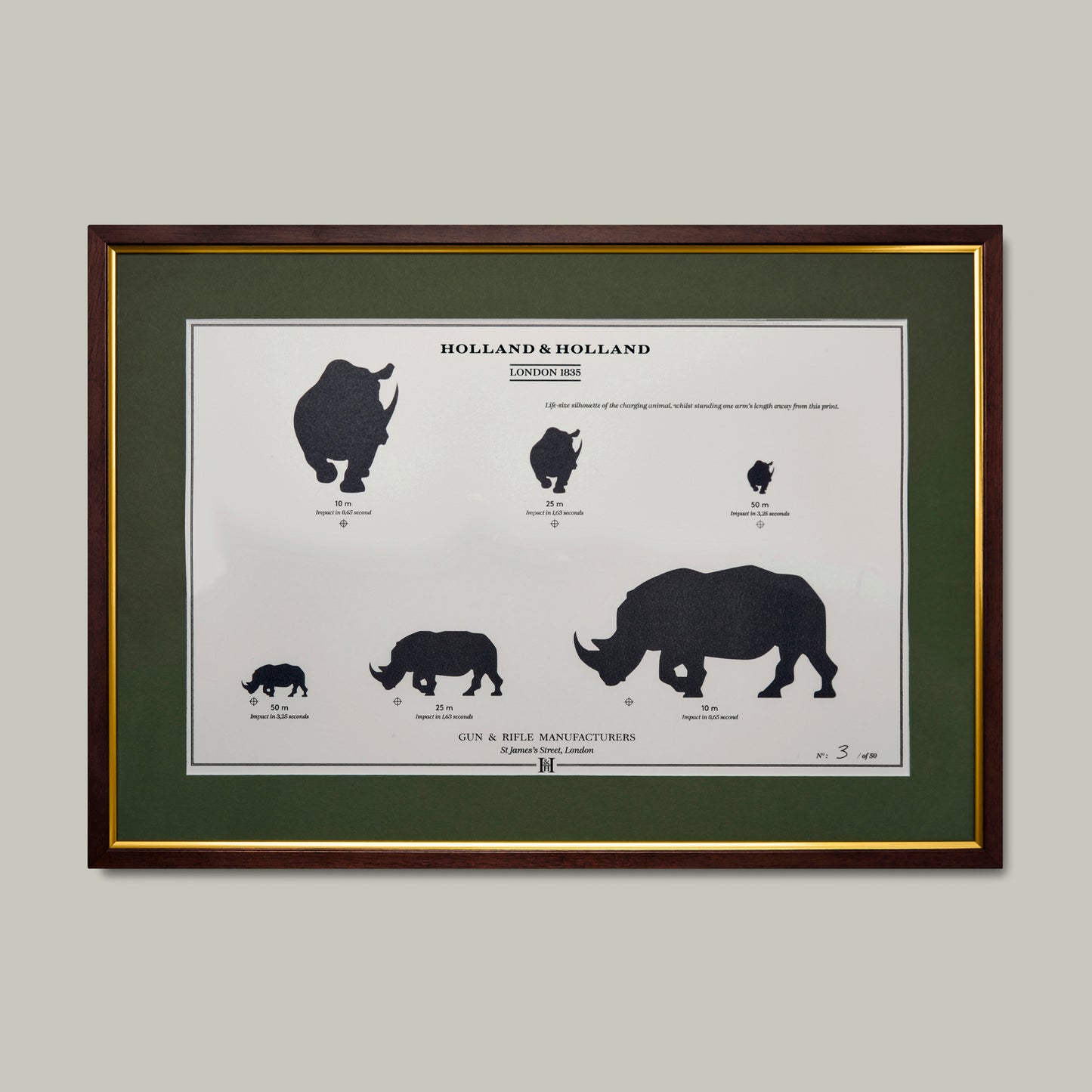 Big Five Distance Print - Framed [RHINO]