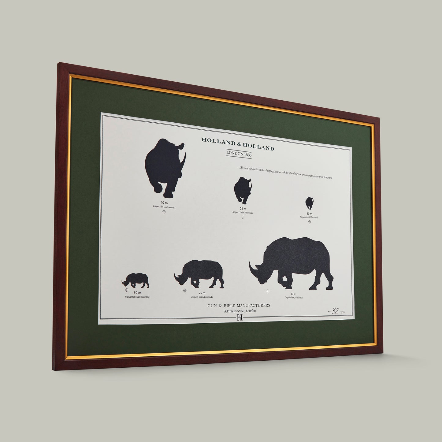 Big Five Distance Print - Framed [RHINO]