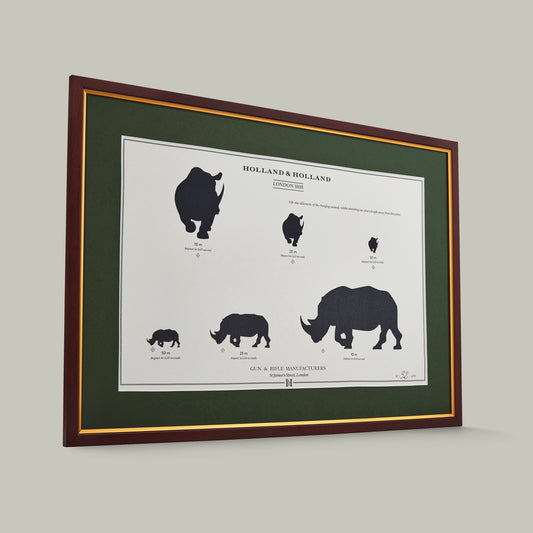 Big Five Distance Print - Framed [RHINO]