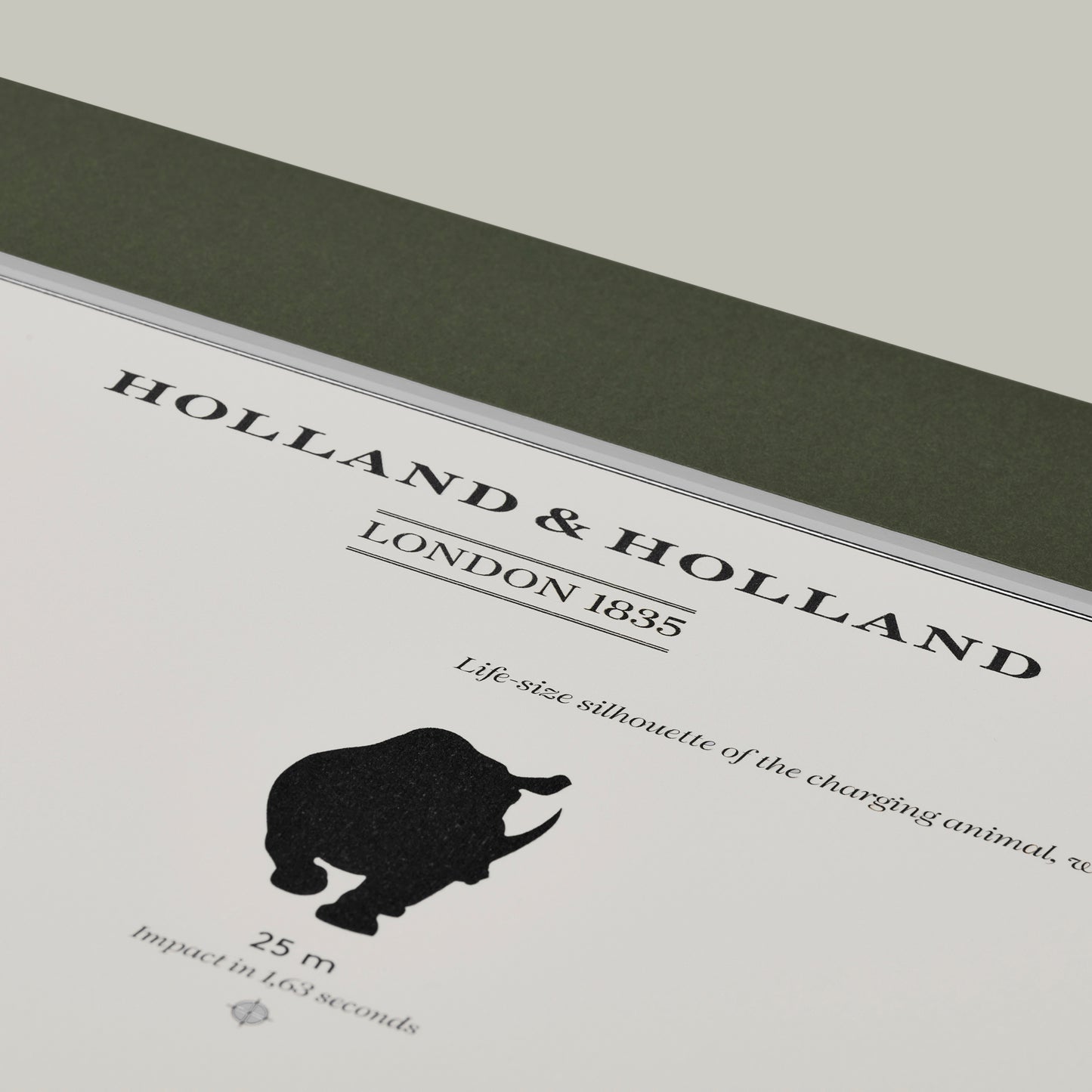 Big Five Distance Print - Mounted [RHINO]