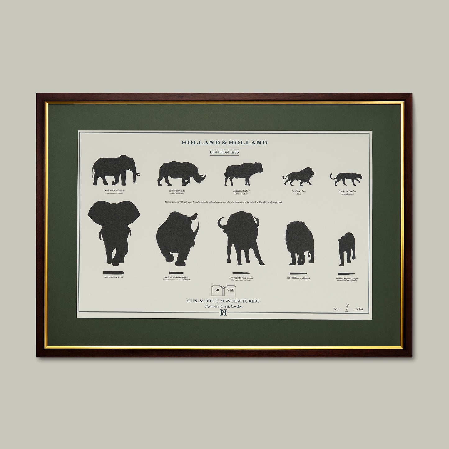 Big Five combination distance print - Framed