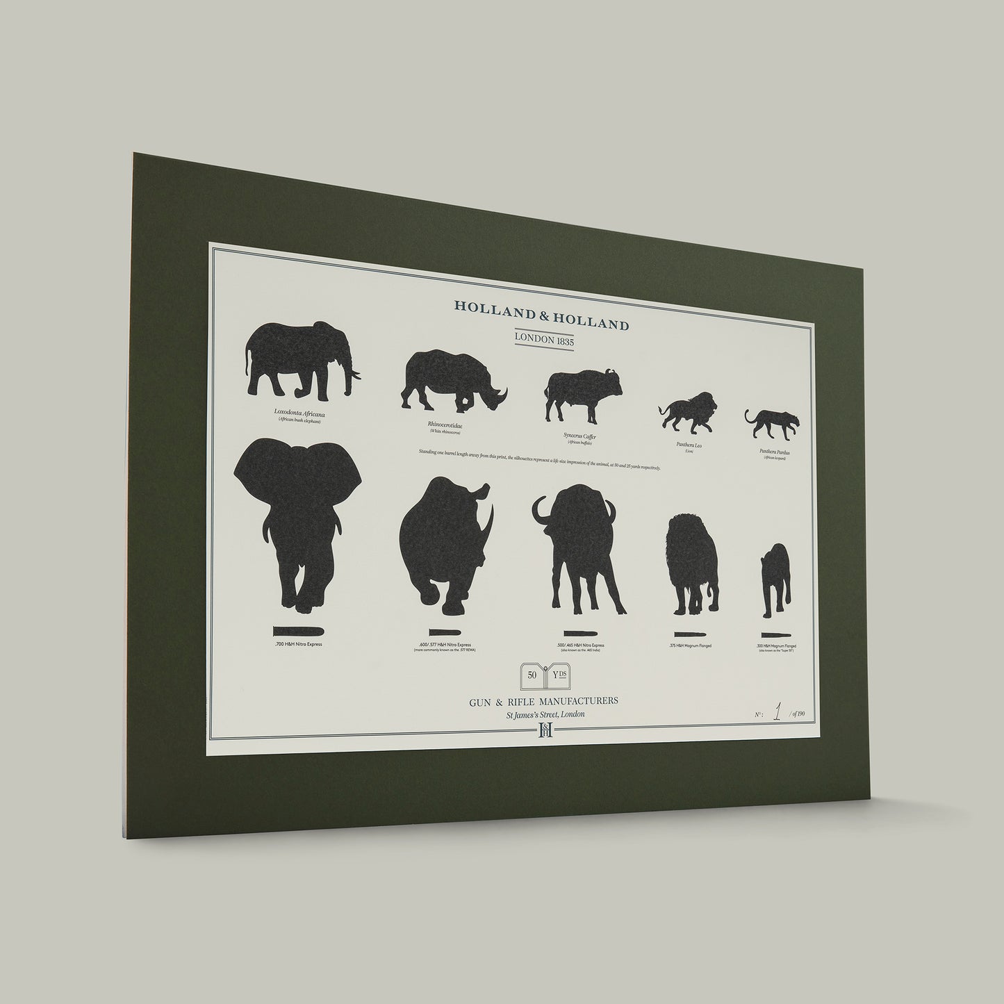 Big Five combination distance print - Mounted