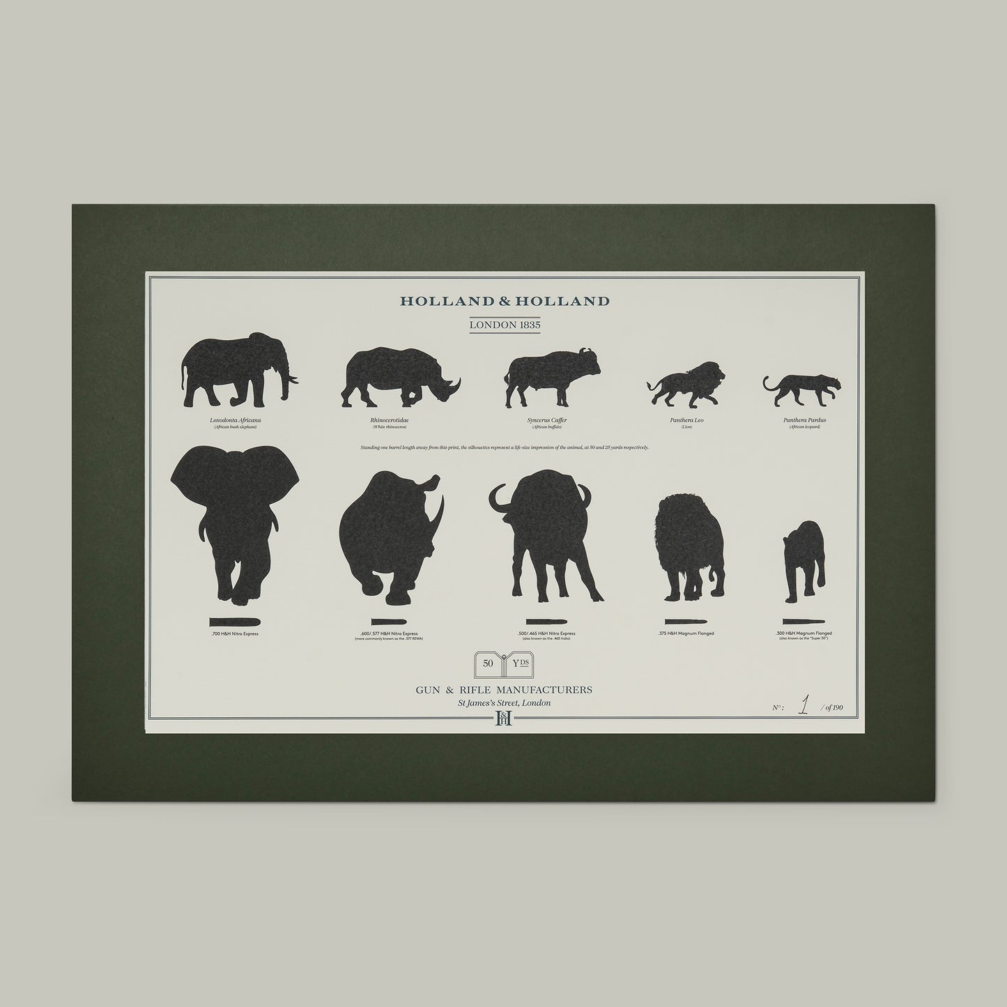 Big Five combination distance print - Mounted