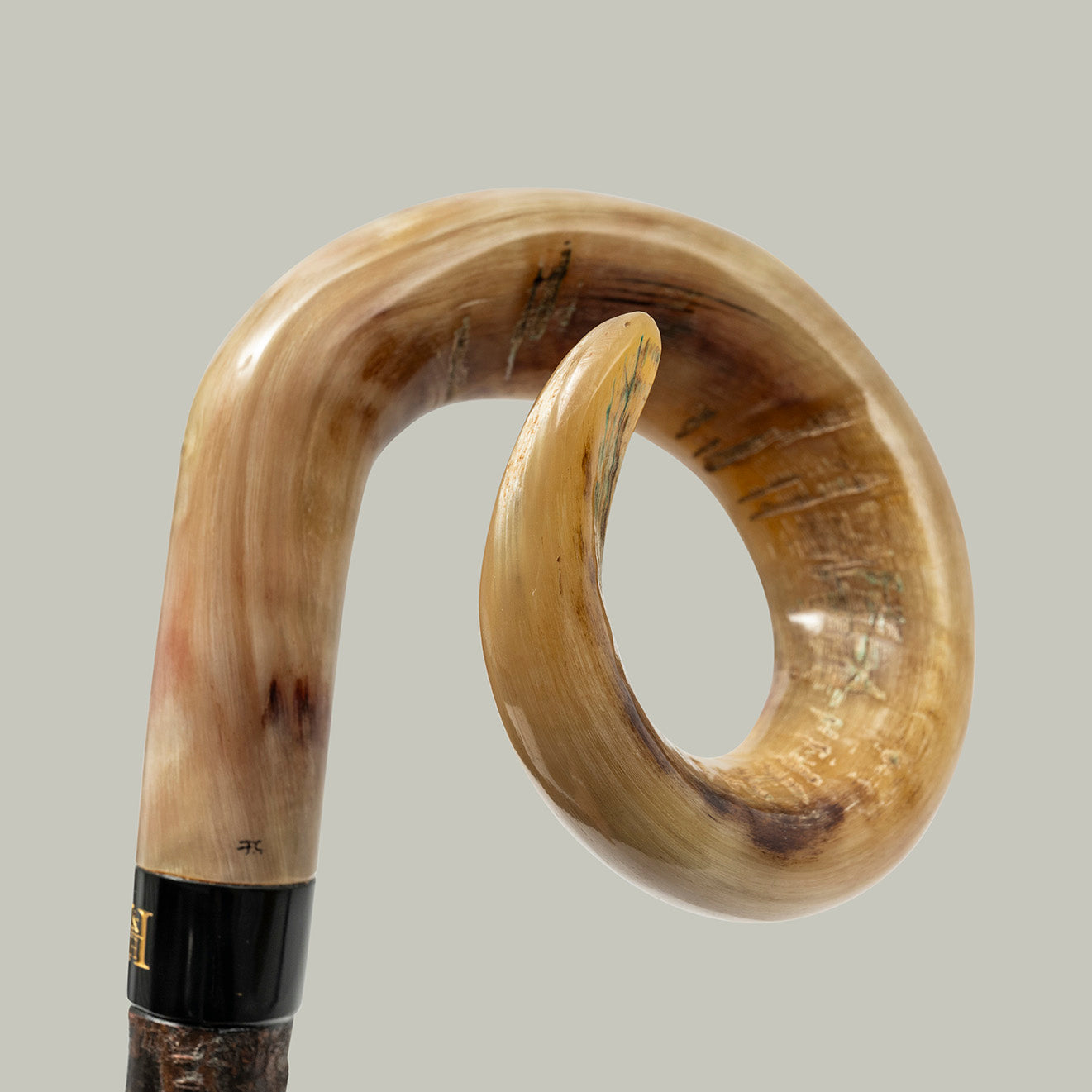 Curly Ramshorn On Blackthorn Walking Stick